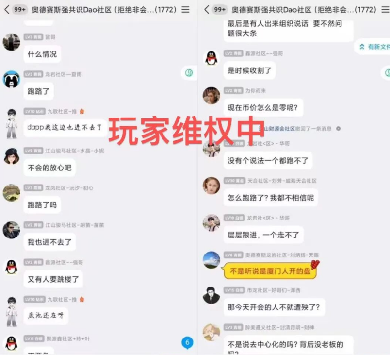 原文相关图片3