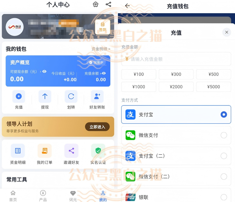 原文相关图片8